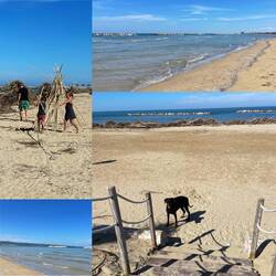 Lesley ganz im Sand🐾Lauf🐾Glück