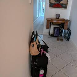 Ready to go.