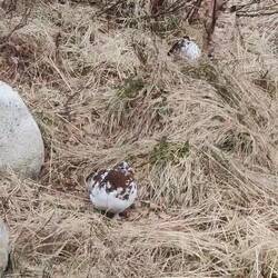 Das Geräusch hier ist aber der Wasserkocher, da ich aus dem Küchenfenster Filme 😅