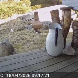 Ton an für die Videos 😃