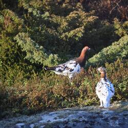 Während Hinnek und Gesine noch ein paar Wochen zurück liegen.