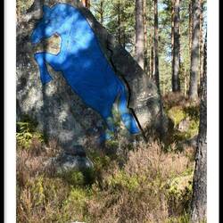 ...hier in den Wäldern