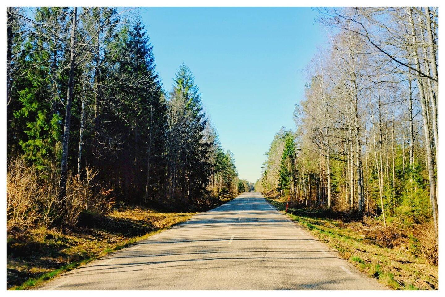 Eine schöne Strecke auf der Fv 120