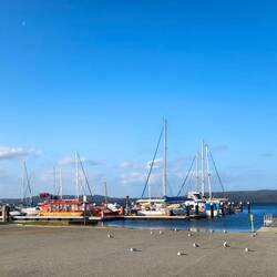 Aussicht ab Emu Bay 😃