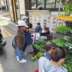 Kindergartenkinder, die Gemüsepflanzen kaufen