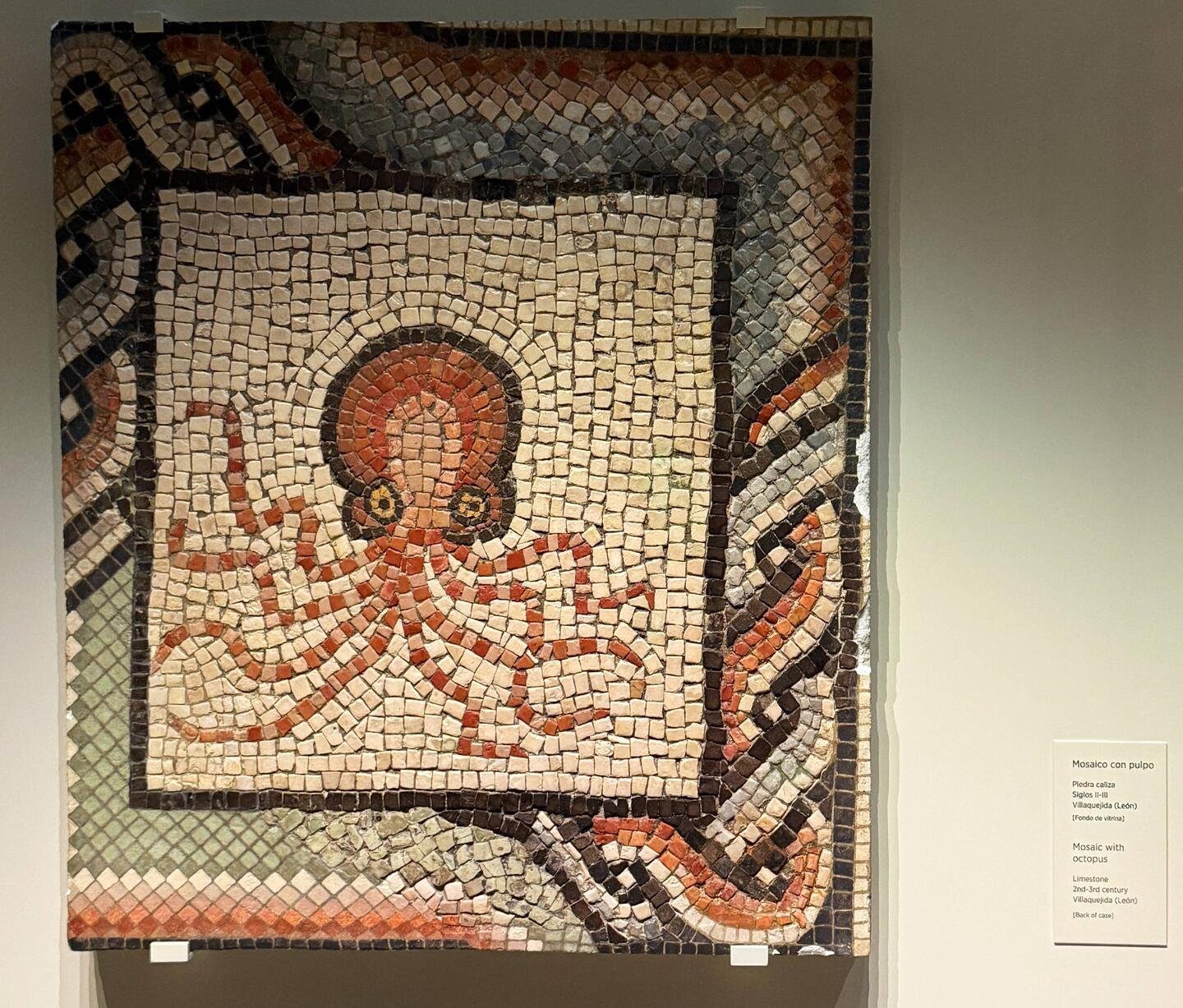 Mosaic with octopus, 2nd or 3rd century AD
