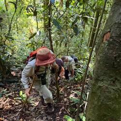 Mehr klettern als wandern, immerzu steil hoch und runter