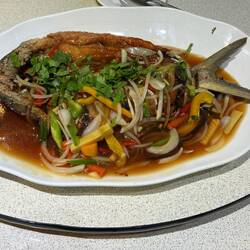 A magnificent freshwater fish, fried and sauced