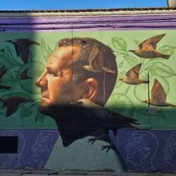 Artwork in Stornara