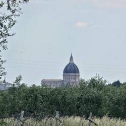Saint Peter's Basilica in Cerignola
