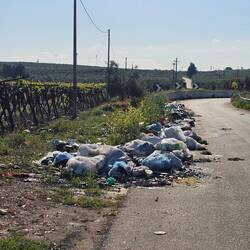 This is Italy. There are rubbish heaps everywhere!