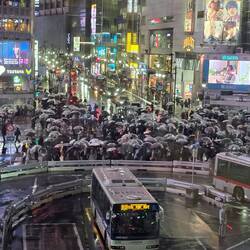 Shibuya Crossing. On a weekend day 10,000 people cross each green light