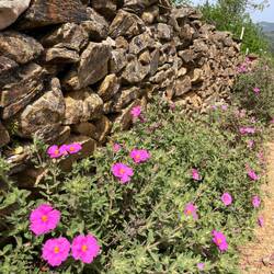 Wanderung rund um Guadalupe