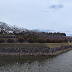 Die Burg/Verteidigungsanlage von Hakodate.