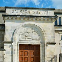 Sehr dominant in Cognac