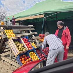 Buying apples at the side of the road