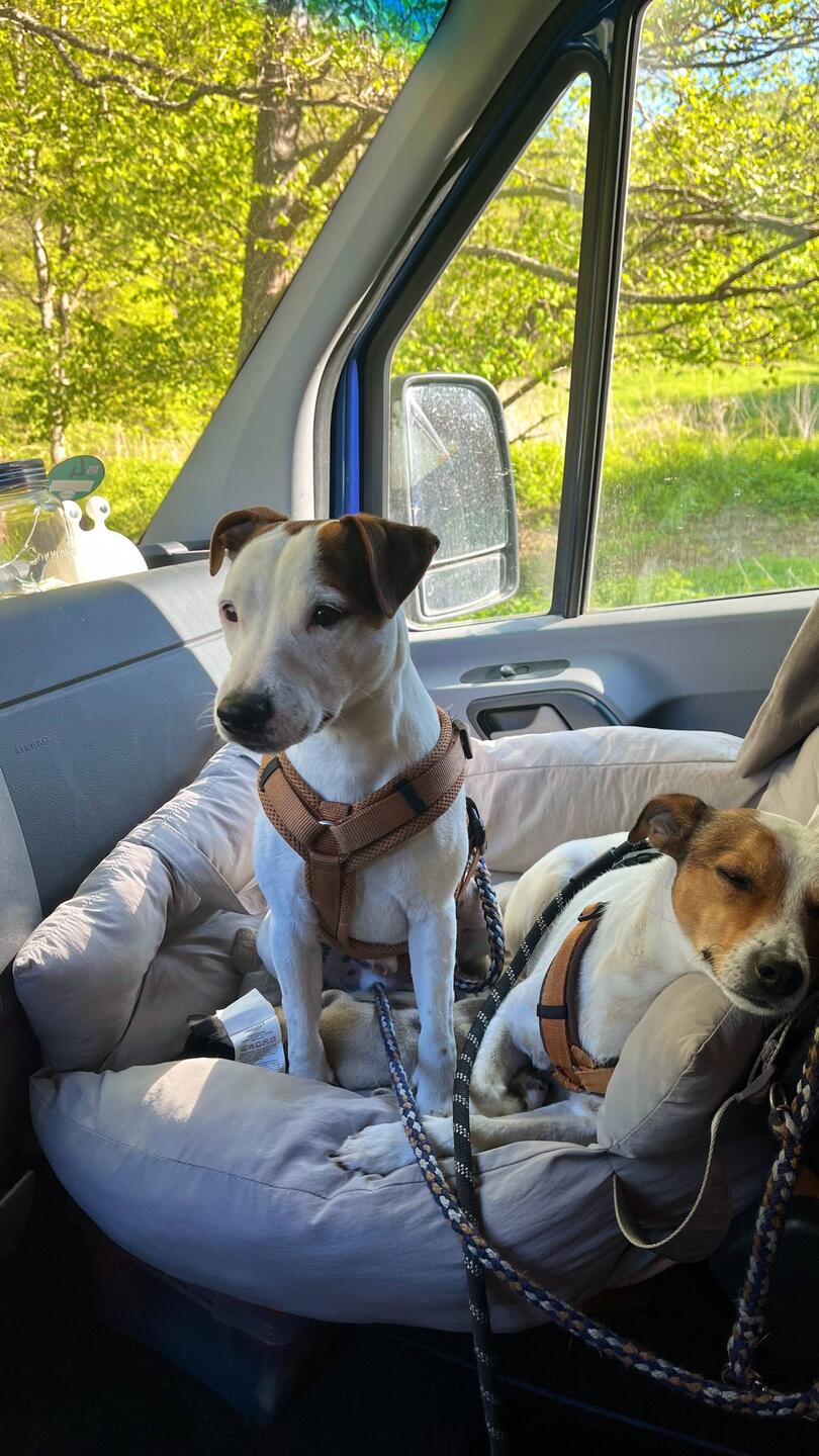 Oh nö, heute nicht, Schatz. Hab Kopfschmerzen 😁