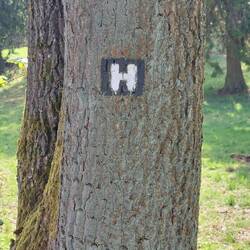 Heidschnuckenweg...
