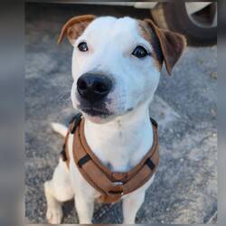 Er weiß noch nicht das ich kein Geld mehr habe