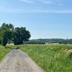 Steeple in the distance