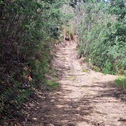 Da war der Weg zu Ende