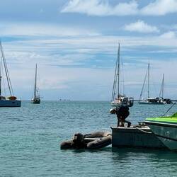 Uwe holt noch Einkaufsbeutel vom Schiff