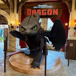 Toothless 😍