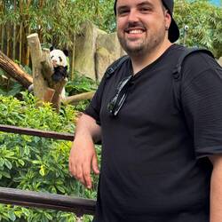 Oso panda y bestia parda