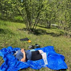 Dans les plantations de noisetiers