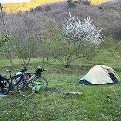 Vers une cabane de berger bordée de noisetier pour passer la nuit