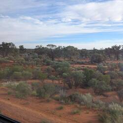 Desert landscape.