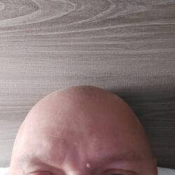 Schnittche wie Lack.