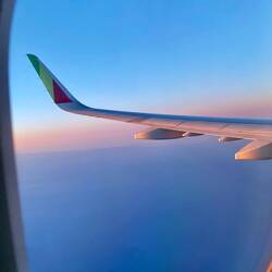 Rückflug nach Portugal