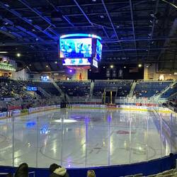 Toronto Marlies