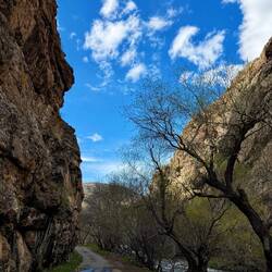 Canyon!