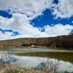 Little cabin by the reservoir