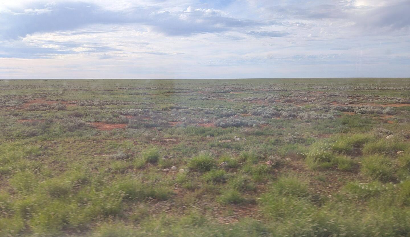 Green Nullarbor Plain.