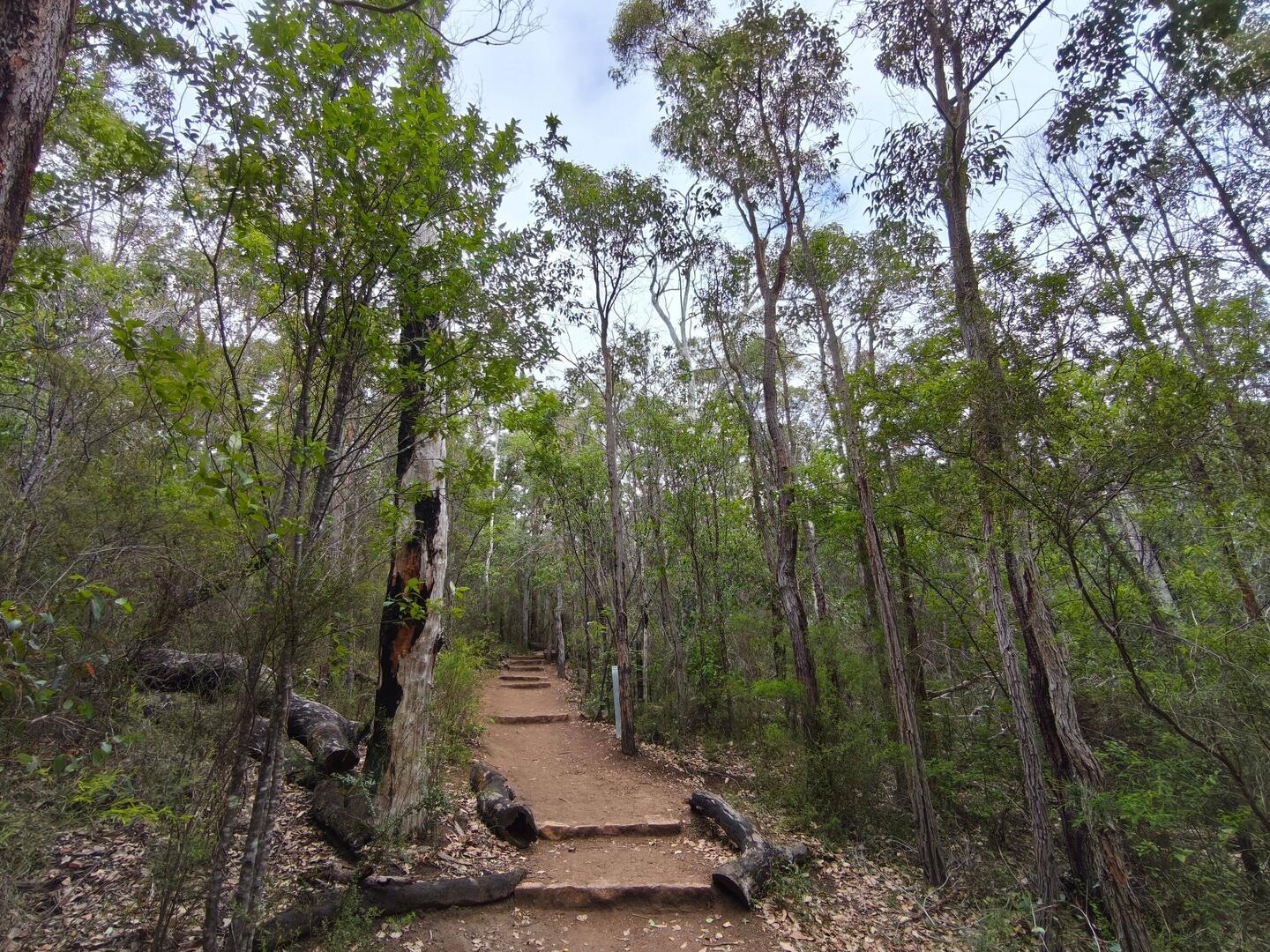 Pongorup NP...