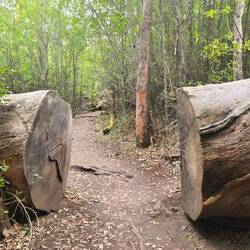 .. Aufstieg zum Granite Skywalk