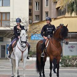 Die berittene Polizei