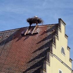 Webcam online Storchennest, Feuchtwangen, Deutschland https://share.google/nANRXGwXLdxKcIfgU