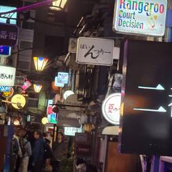 Golden Gai bars. There are about 50. Each seat around 6 to 10 people