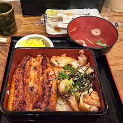 Eel lunch
