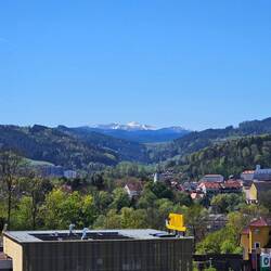 Dann sehe ich dem Schnee beim Schmelzen zu von meinem Balkon aus.
