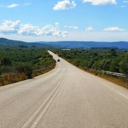 Olivenbäume soweit das Auge reicht 🥰