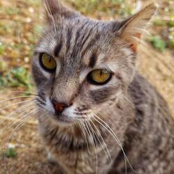 Hab ihn Joe genannt. Er isst jetzt erstmal mit