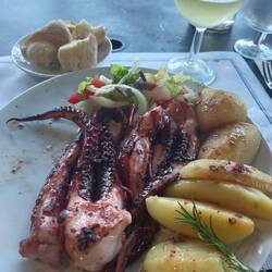 Zur Belohnung wieder Pulpo!