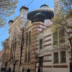 Die Synagoge