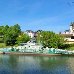 Die schönste Fähre auf dem Rhein - Insiderinfo.