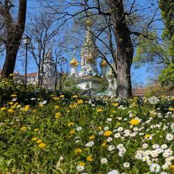 Die Russisch-Orthodoxe Kirche